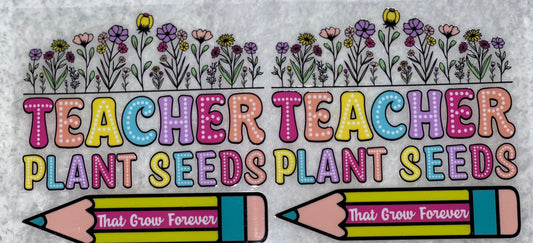 Teacher plant seeds