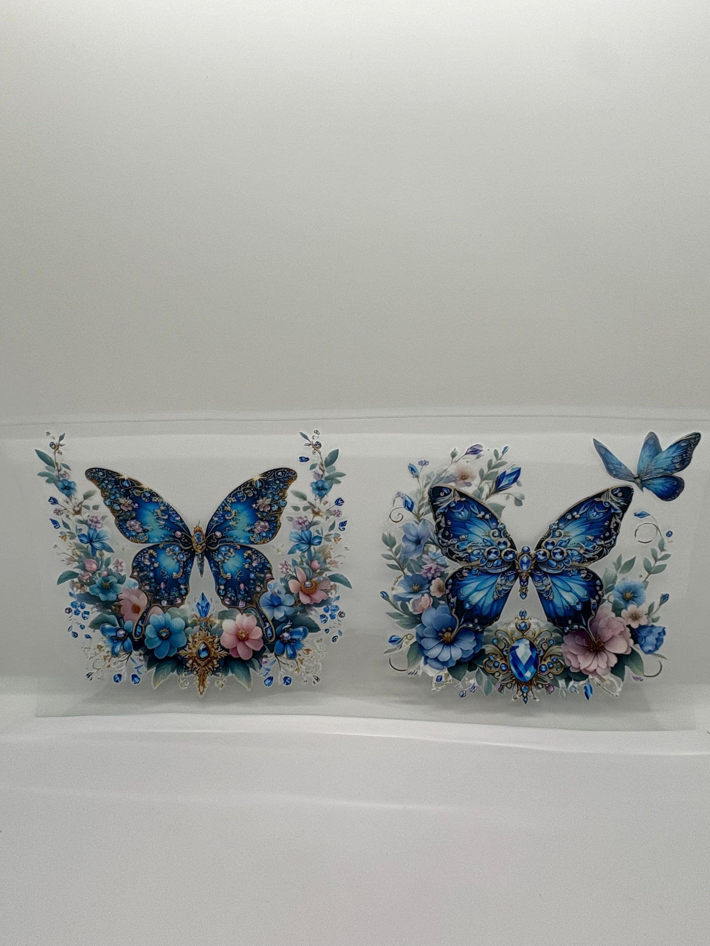 blue butterfly